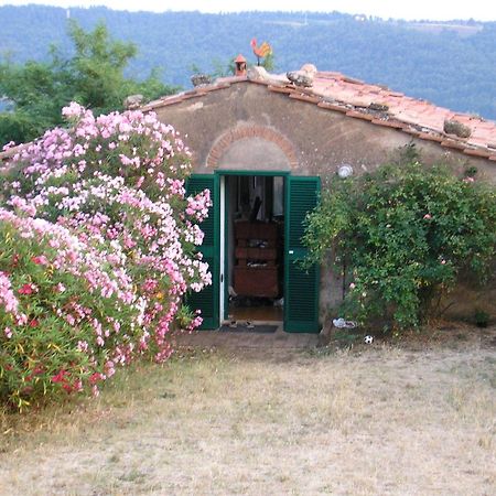 Agriturismo Le Serre Riparbella Kamer foto
