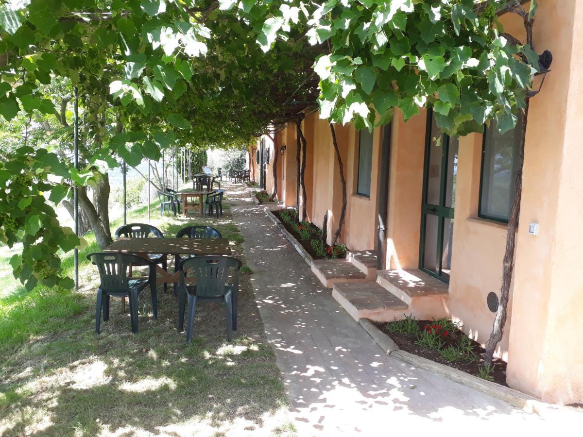 Agriturismo Le Serre Riparbella Buitenkant foto