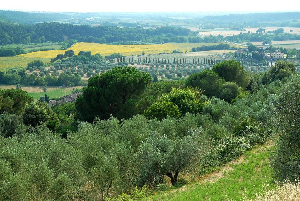 Agriturismo Le Serre Riparbella Buitenkant foto