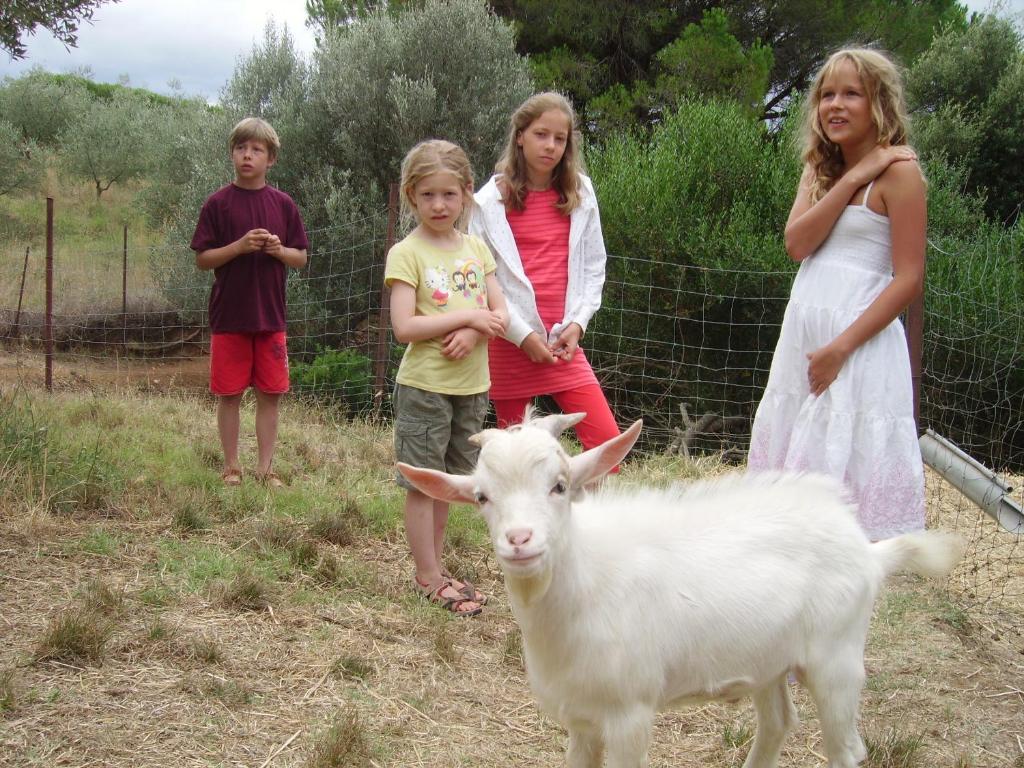 Agriturismo Le Serre Riparbella Buitenkant foto