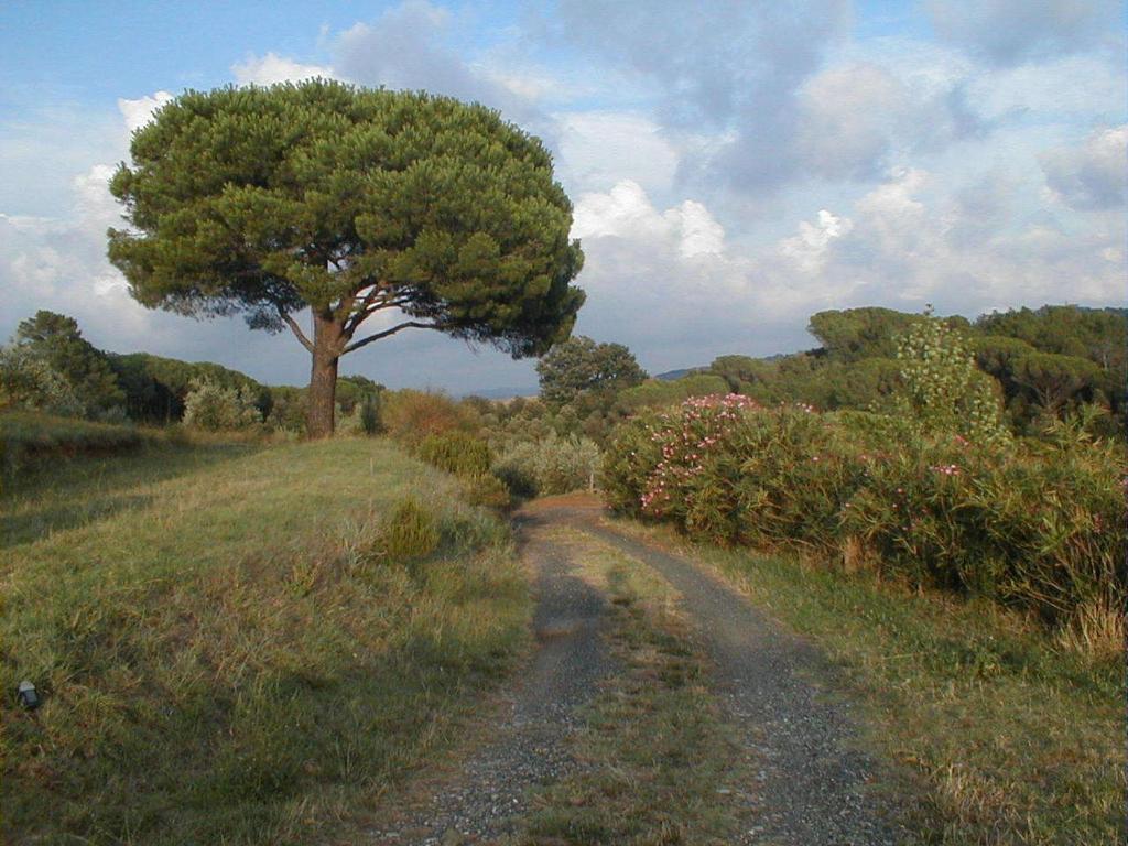 Agriturismo Le Serre Riparbella Buitenkant foto