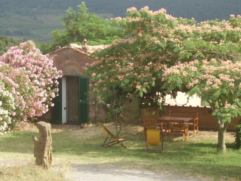 Agriturismo Le Serre Riparbella Kamer foto