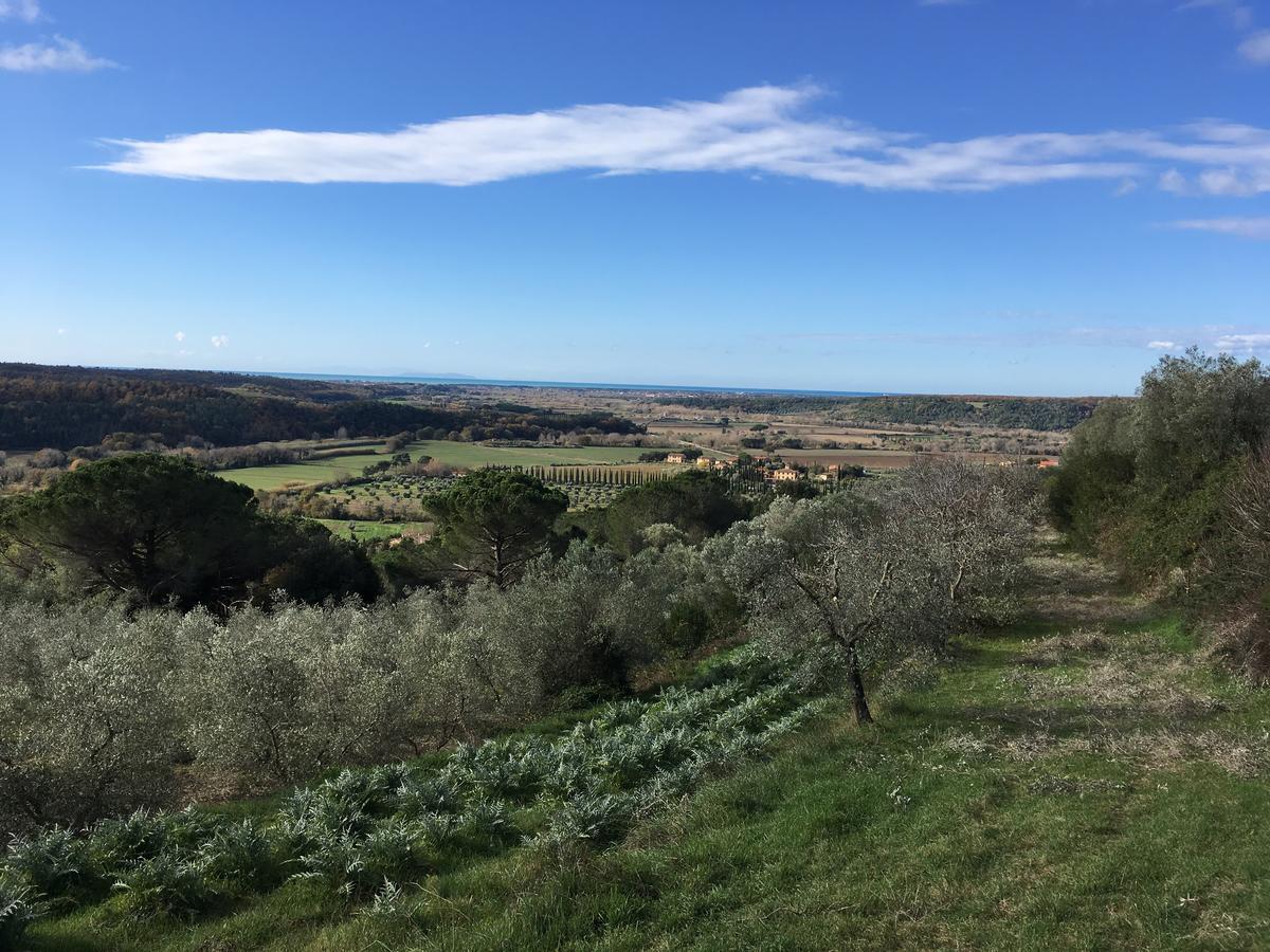 Agriturismo Le Serre Riparbella Buitenkant foto